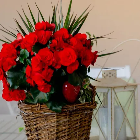 Apartment Af Vodice